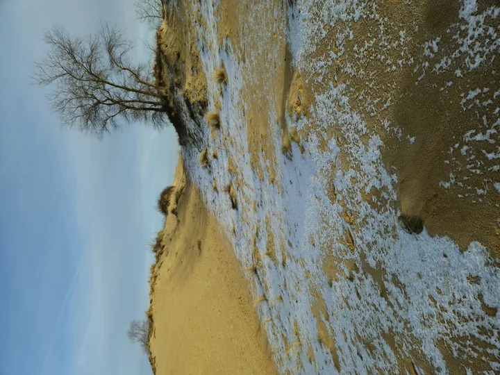 Oostnieuwkerke duinen wandeling in de koude (België)